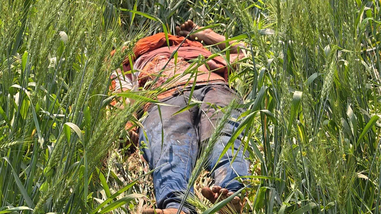 होली से पहले शिवहर में खूनी खेल: ससुराल जा रहे युवक की चाकू गोदकर हत्या, पत्नी गंभीर रूप से घायल*