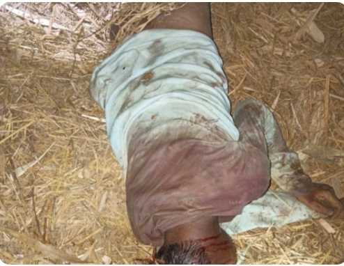 SHEOHAR; जहांगीरपुर अंसारी टोला में 13 वर्षीय बच्चे की धारदार हथियार से की हत्या